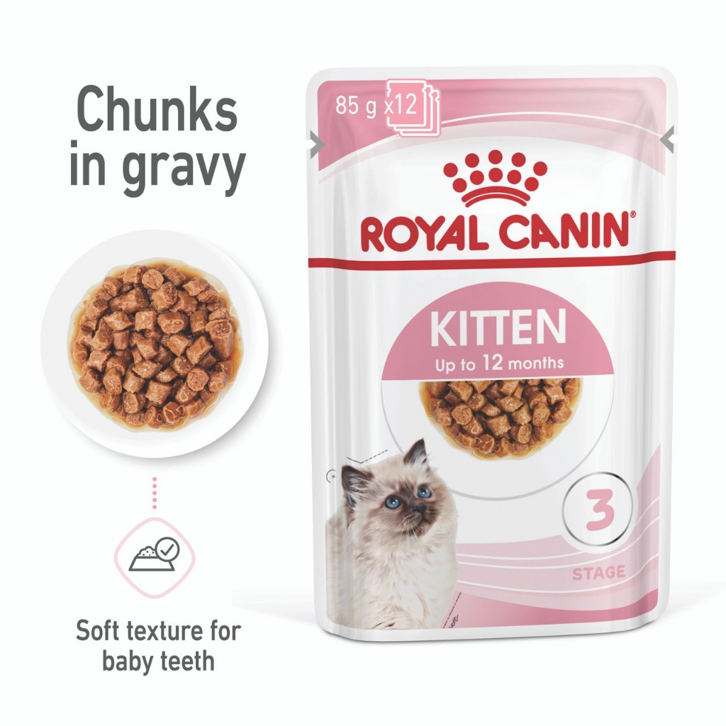 pate thức ăn dạng ướt cho mèo con royal canin