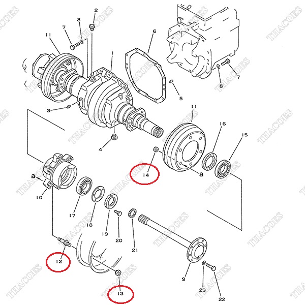 Bulong tắc kê 3EB-21-25170; 34B-21-14151; 01582-11815