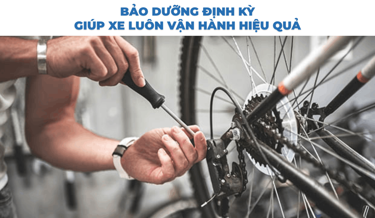 Bảo dưỡng định kỳ giúp xe luôn vận hành hiệu quả