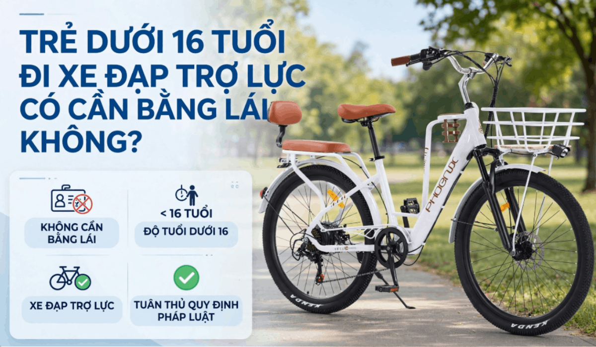 Trẻ dưới 16 tuổi đi xe đạp trợ lực có cần bằng lái không?