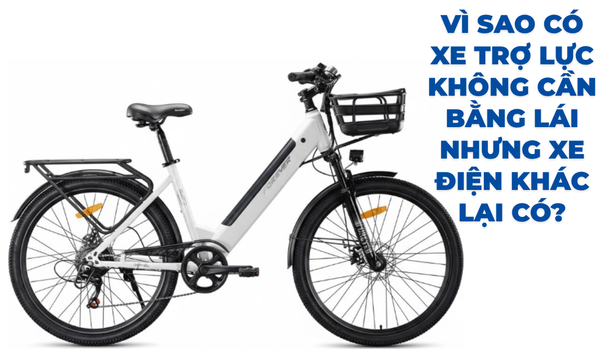 Vì sao có xe trợ lực không cần bằng lái nhưng xe điện khác lại có?