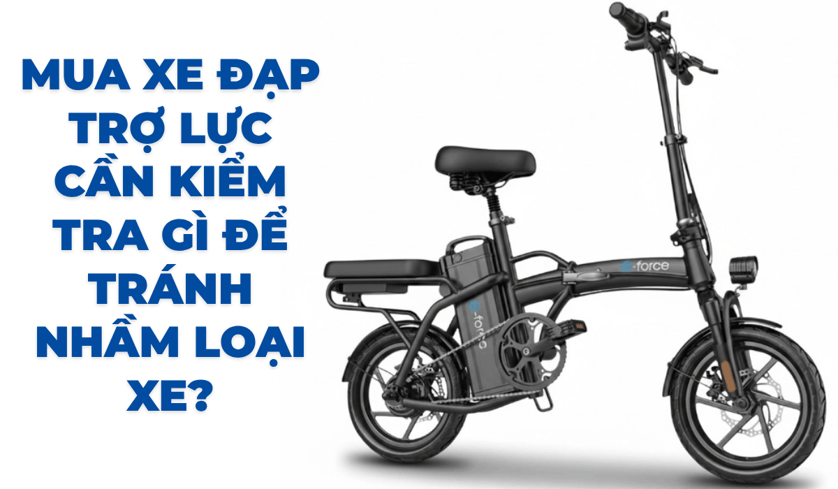 Mua xe đạp trợ lực cần kiểm tra gì để tránh nhầm loại xe?