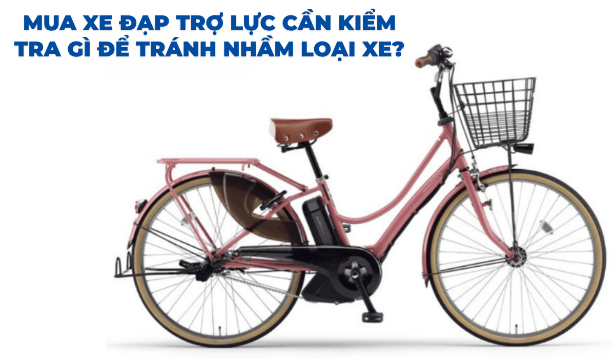 Mua xe đạp trợ lực cần kiểm tra gì để tránh nhầm loại xe?