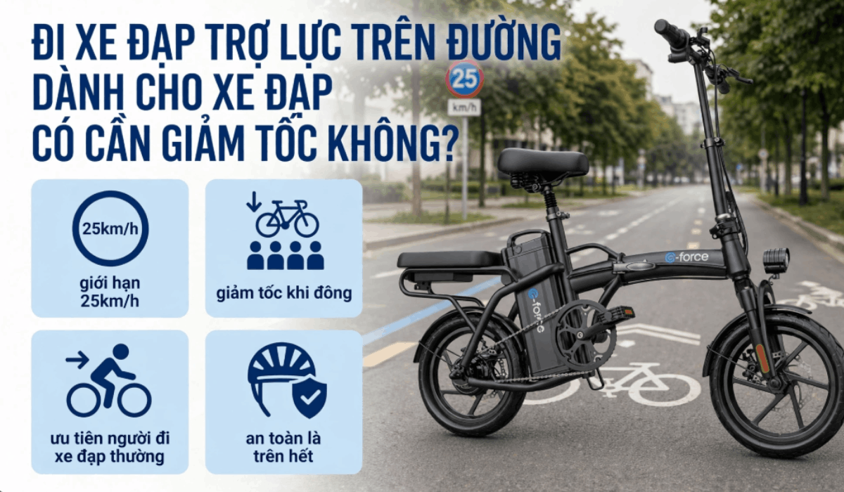 Đi xe đạp trợ lực trên đường dành cho xe đạp có cần giảm tốc không?