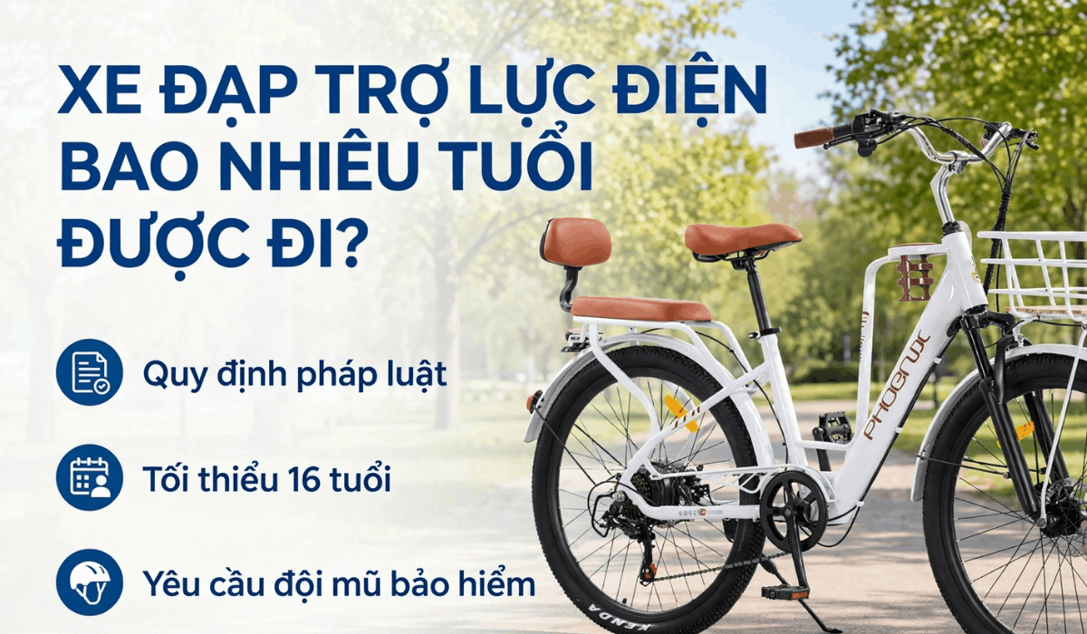 Xe đạp trợ lực điện bao nhiêu tuổi được đi?