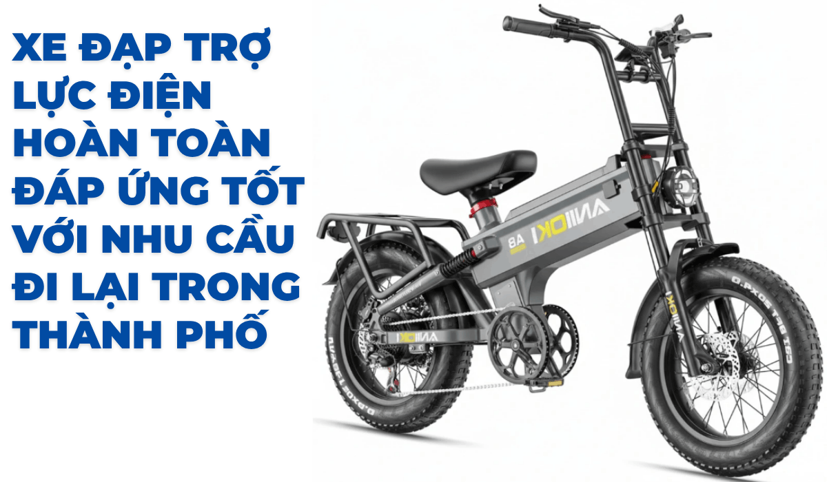 Xe đạp trợ lực điện hoàn toàn đáp ứng tốt nhu cầu đi lại trong thành phố
