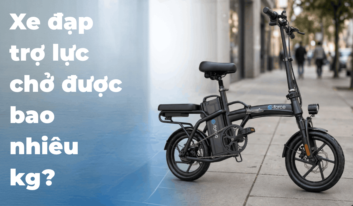 Tải trọng tối đa của xe đạp trợ lực là gì?