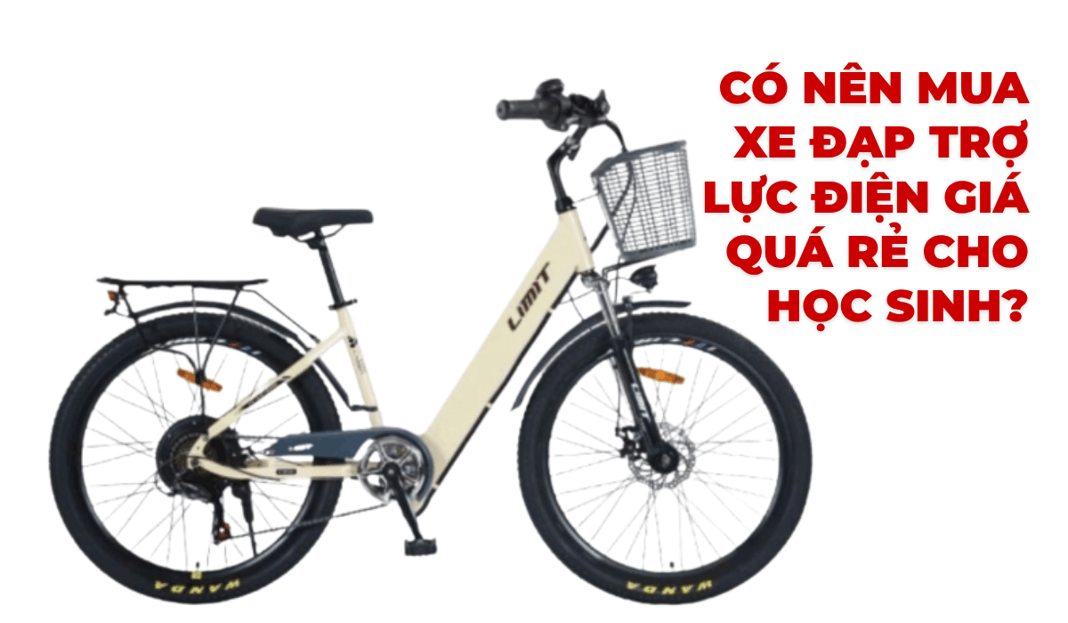 Có nên mua xe đạp trợ lực điện giá quá rẻ cho học sinh?