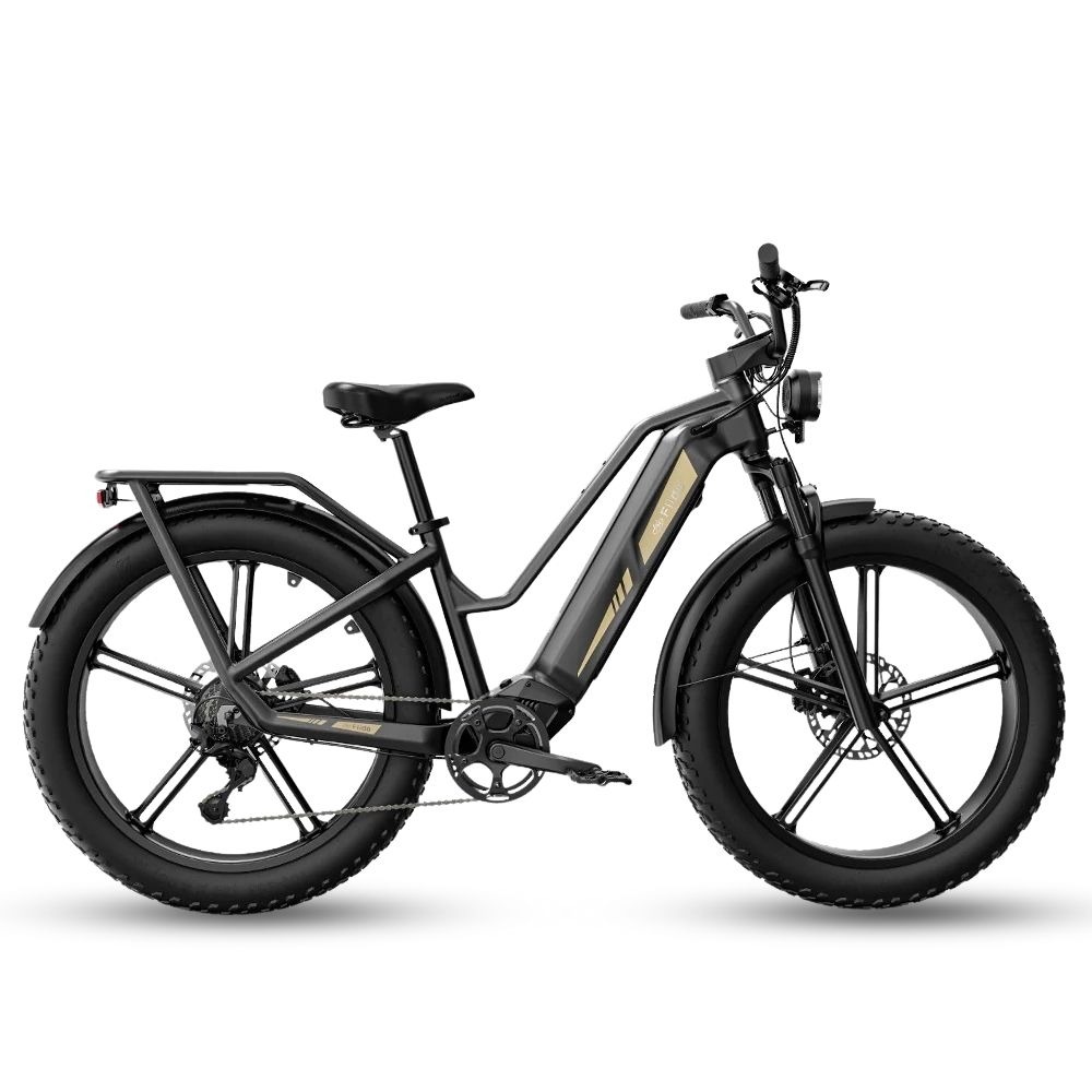 Xe Đạp Trợ Lực Điện Fiido Titan M25