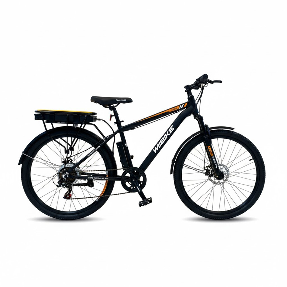 Xe đạp trợ lực điện Wiibike Sapa