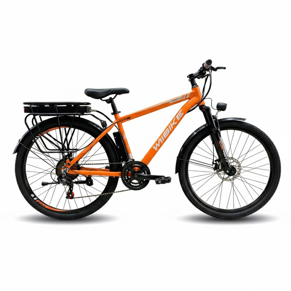 Xe đạp trợ lực điện Wiibike Sapa