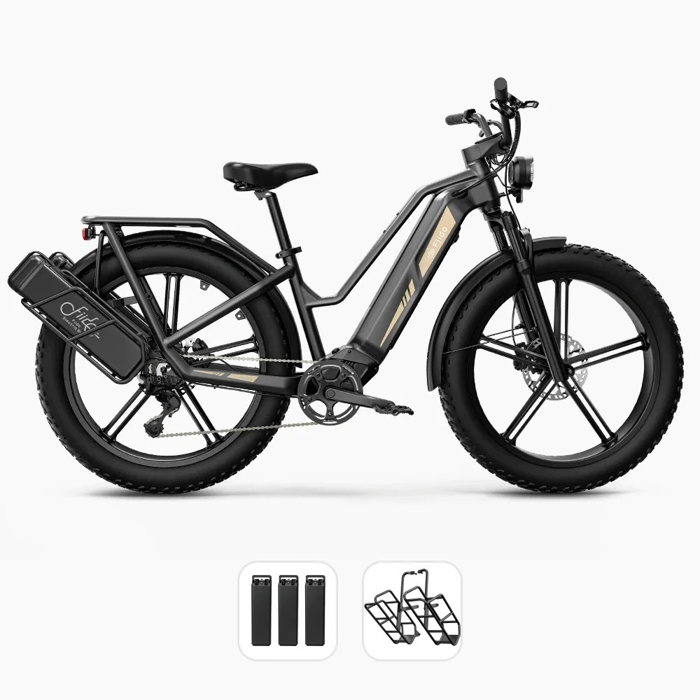 Xe Đạp Trợ Lực Điện Fiido Titan M25