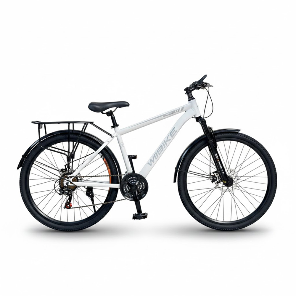 Xe đạp trợ lực điện Wiibike Sapa