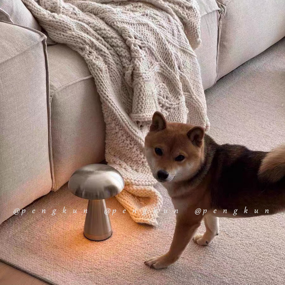 Thiết Kế Đan Mạch Đèn Bàn Hình Nấm Kim Loại