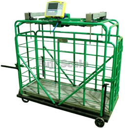 Cân động vật JWI-3100