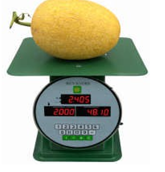 Cân Tính Giá 808 (vỏ cân nhựa ABS)