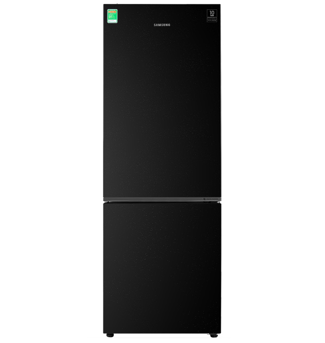 Tủ Lạnh Samsung Inverter 310 lít RB30N4010BU/SV - Chính hãng