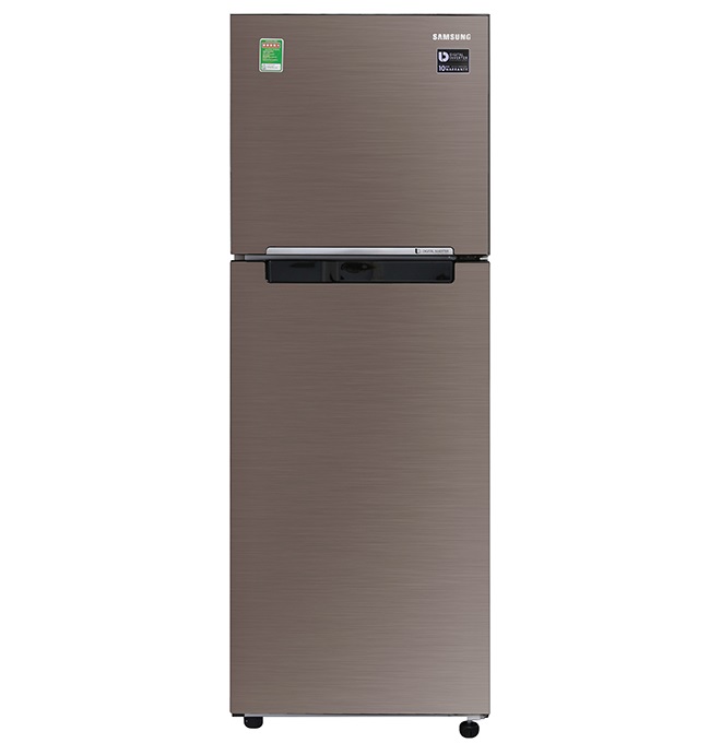 Tủ lạnh Samsung Inverter 236 lít RT22M4040DX/SV - Chính hãng