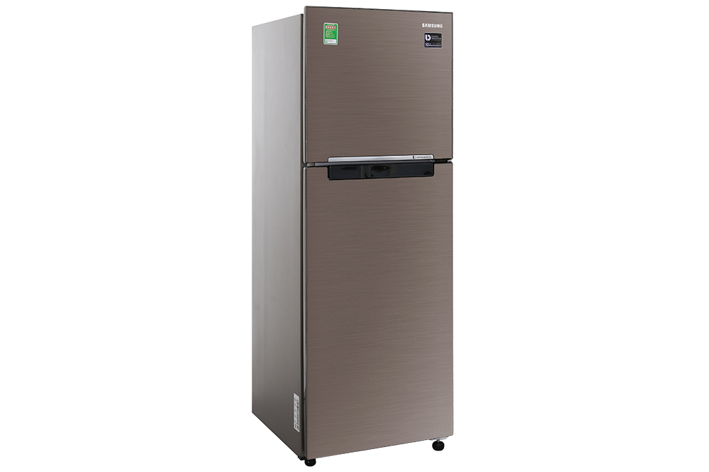 Tủ lạnh Samsung Inverter 236 lít RT22M4040DX/SV - Chính hãng