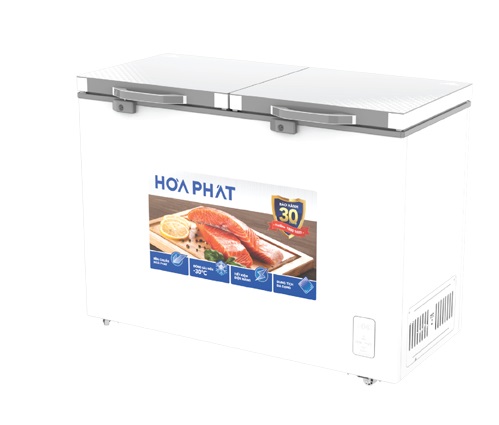 Tủ đông Hòa Phát 245 lít 2 ngăn HPF BD6245.T1