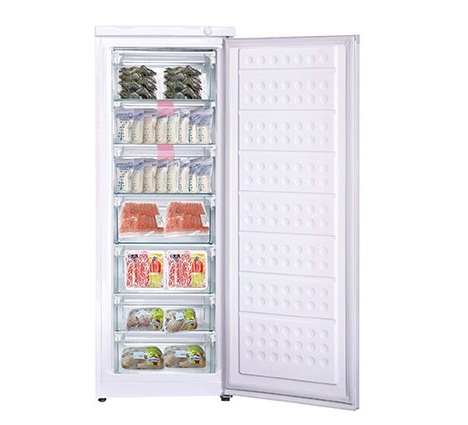 Tủ đông Hòa Phát 208 lít HUF 450SR1 - Dàn hợp kim