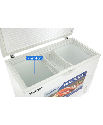 Tủ đông Funiki Hoà Phát 252 lít HPF AD6252