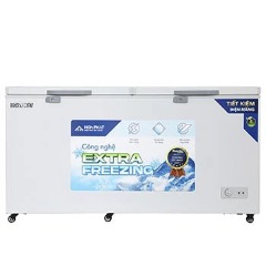 Tủ đông Hòa Phát HPF AD6544.1 544L