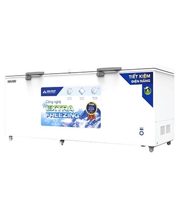 Tủ đông Hòa Phát HPF AD6544.1 544L
