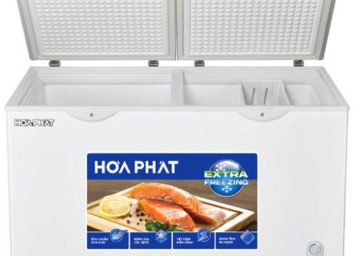 TỦ ĐÔNG HÒA PHÁT HPF BD6245 245 LÍT
