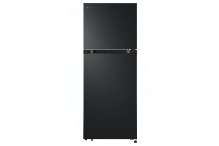 Tủ lạnh LG Inverter 217 lít LTB21BLMI