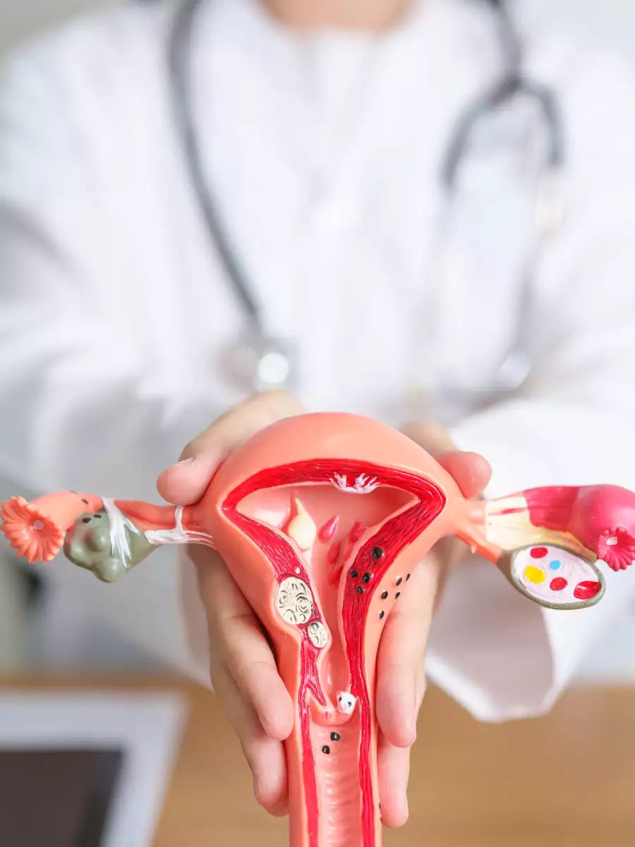 5 Thói Quen Tai Hại Gây Tổn Thương Tử Cung Mà Rất Nhiều Phụ Nữ Mắc Phải