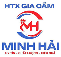 HTX GIA CẦM MINH HẢI