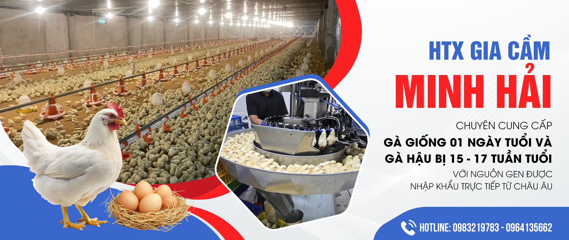 HTX GIA CẦM MINH HẢI