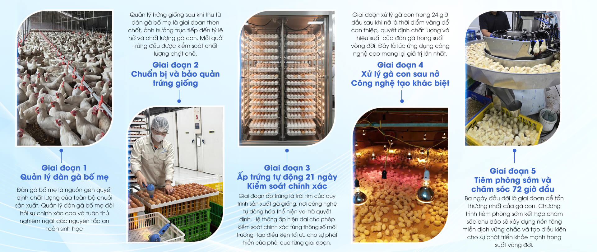 HTX GIA CẦM MINH HẢI
