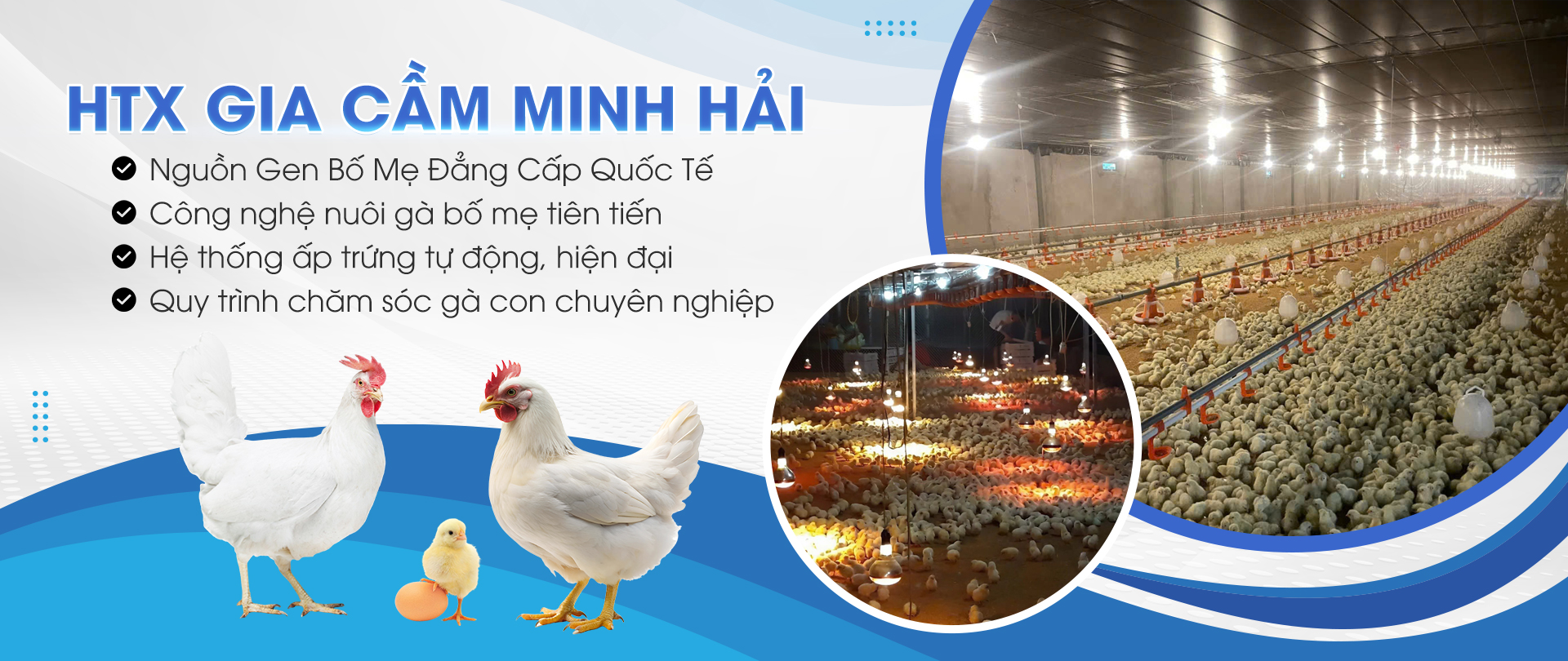 HTX GIA CẦM MINH HẢI