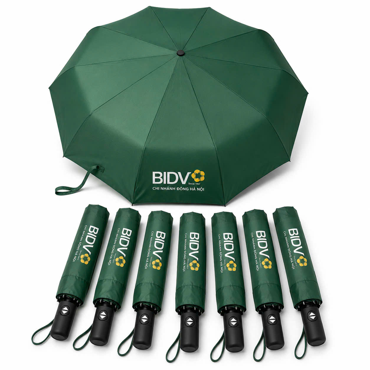 Ô tự động & bán tự động 10-12 nan