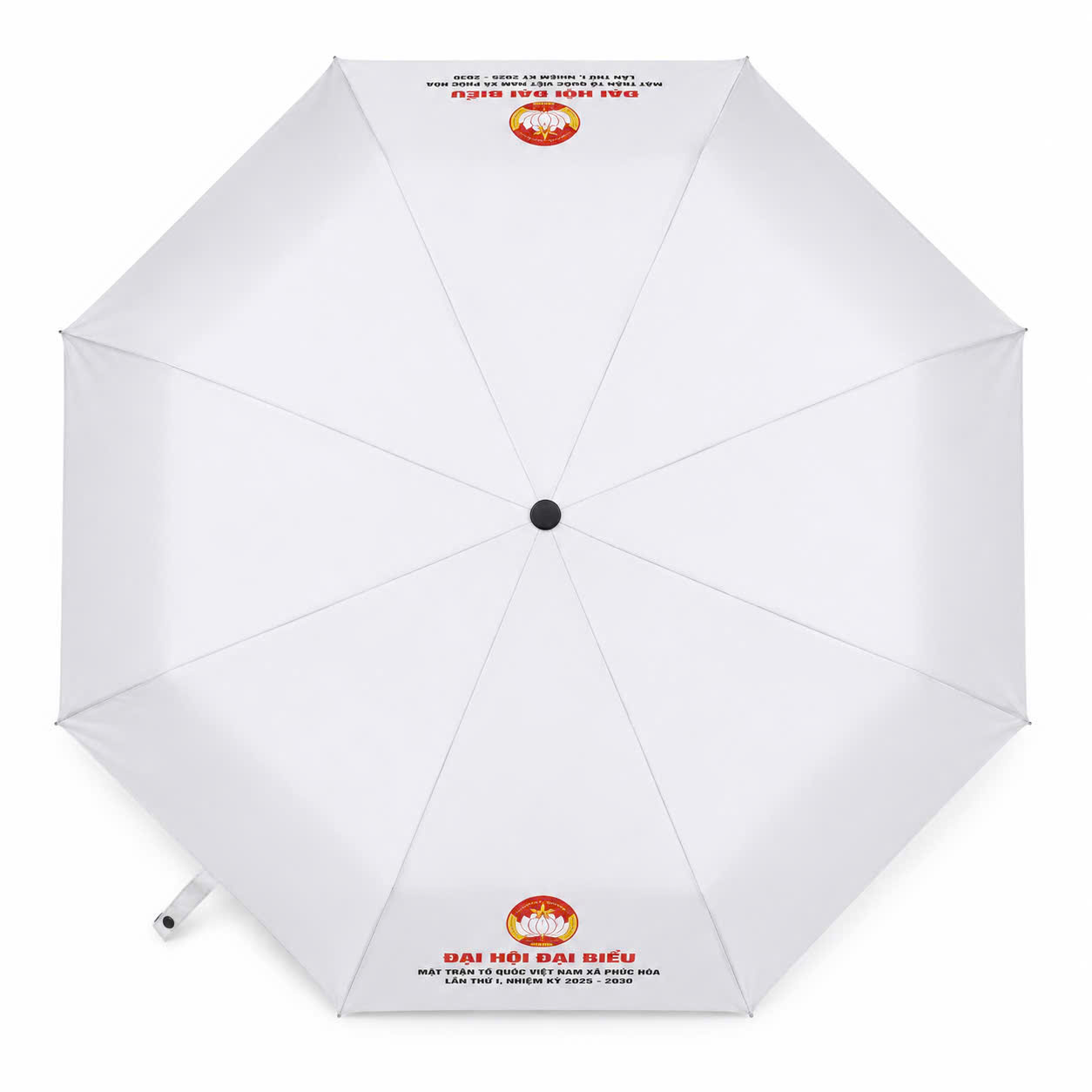 Ô tự động & bán tự động 10-12 nan