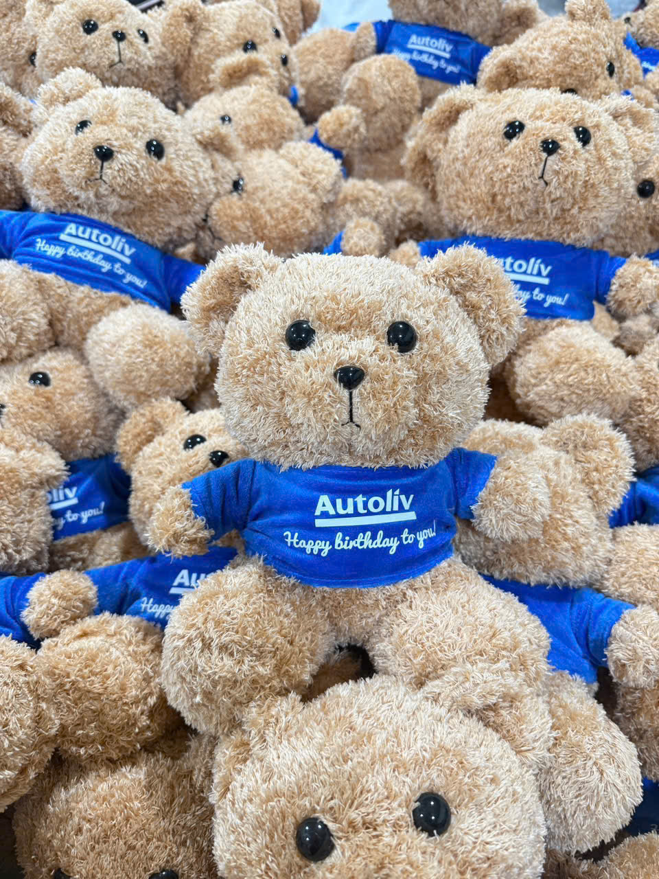 Gấu bông thêu logo