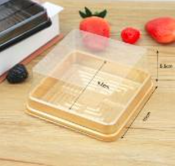 Hộp nhựa vuông JLH10-10