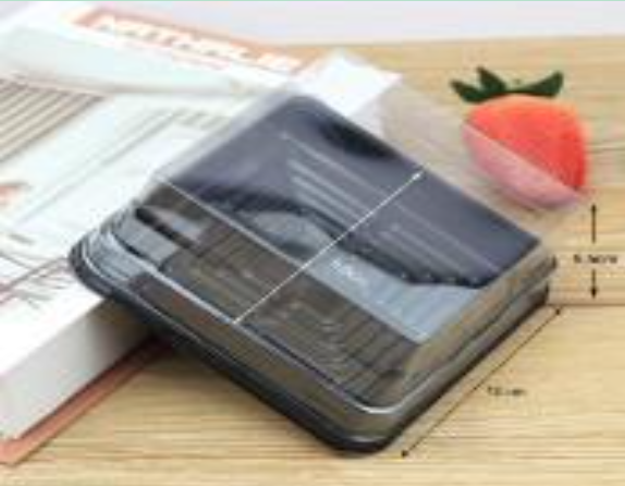 Hộp nhựa vuông JLH10-10