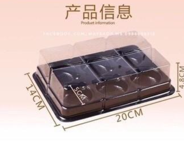 Hộp nhựa trung thu 6 bánh FG 334 (Thùng 1600c)