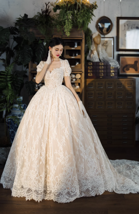 Váy cưới công chúa ren vintage tay ngắn sang trọng_I11