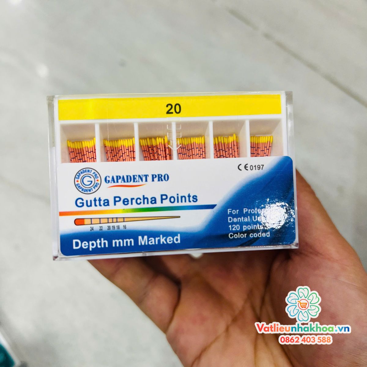 Côn giấy , Gutta - Hãng Gapadent