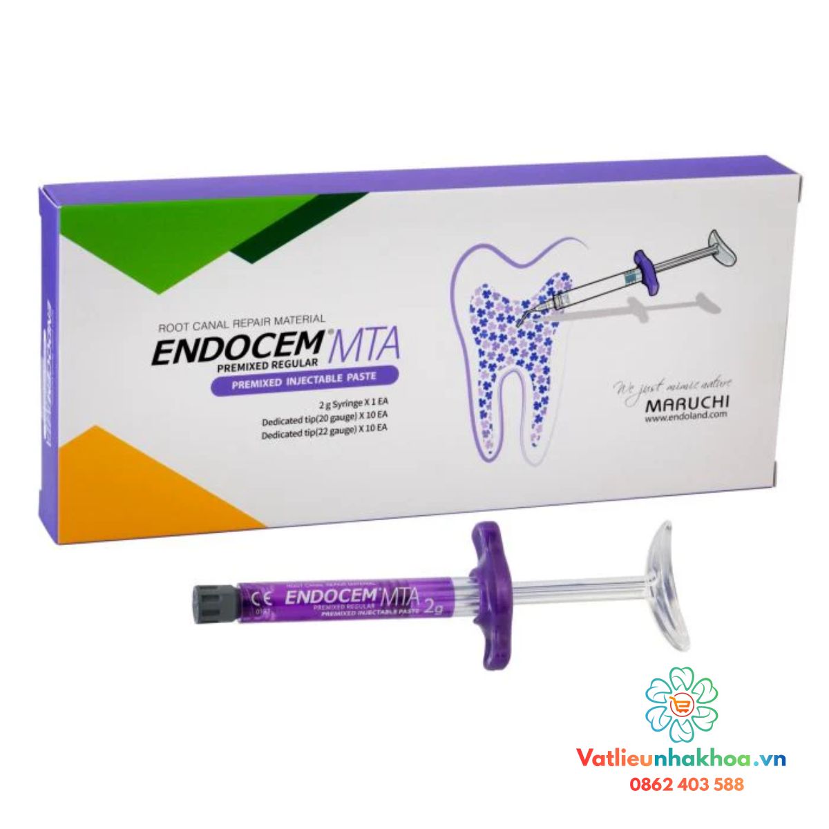 MTA trám bít ống tủy Endocem MTA - Maruchi