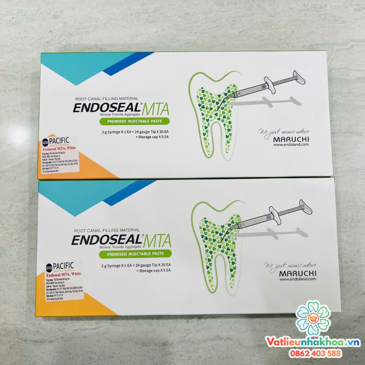 Vật liệu trám bít ống tủy Endoseal MTA - Maruchi