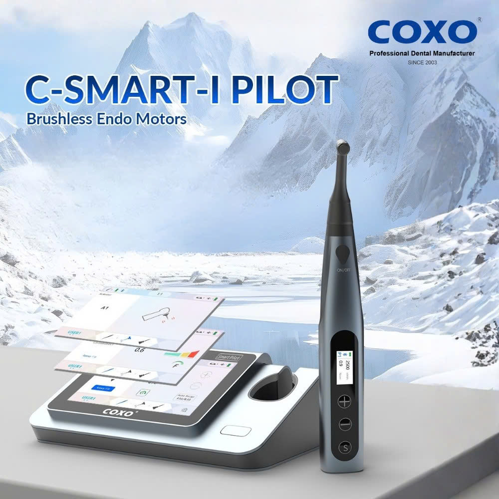 Máy nội nha COXO tích hợp định vị chóp C-Smart Pilot