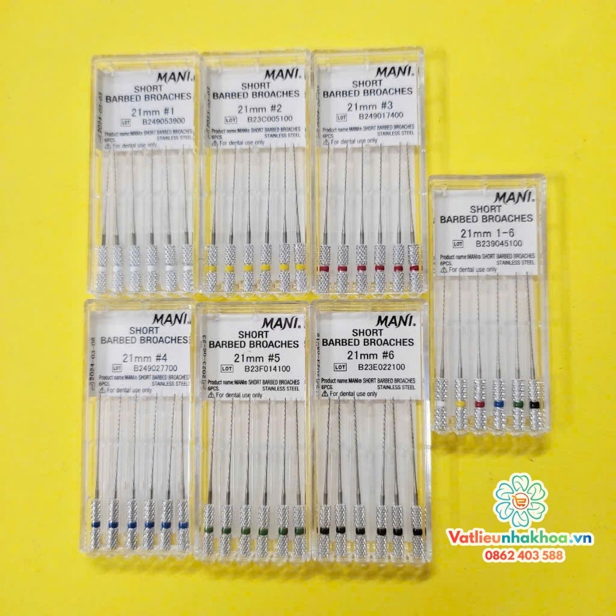 Trâm gai Nhật Mani - Vỉ 6 cây