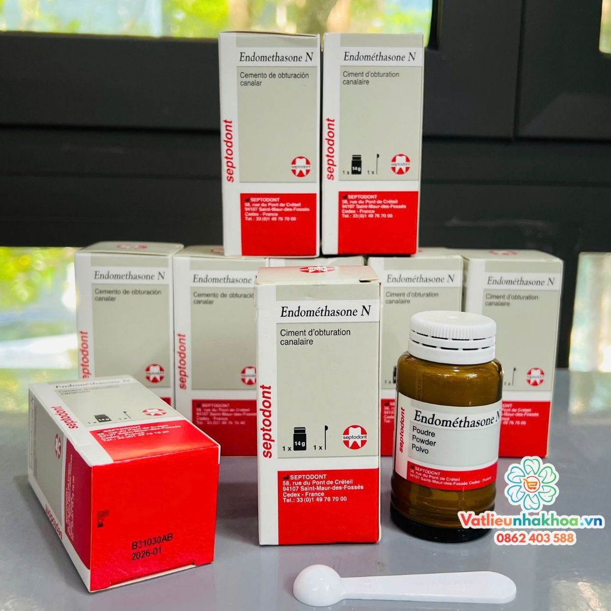 Cement trám bít ống tuỷ Endomethasone Septodont