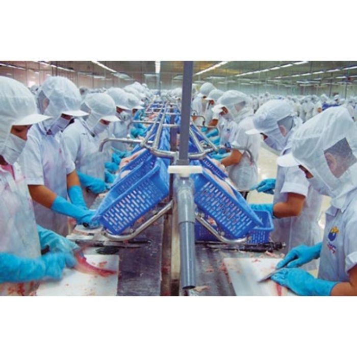 TUYỂN DỤNG THỰC TẬP SINH (NỮ) THÁNG 04/2018 - CHẾ BIẾN HẢI SẢN