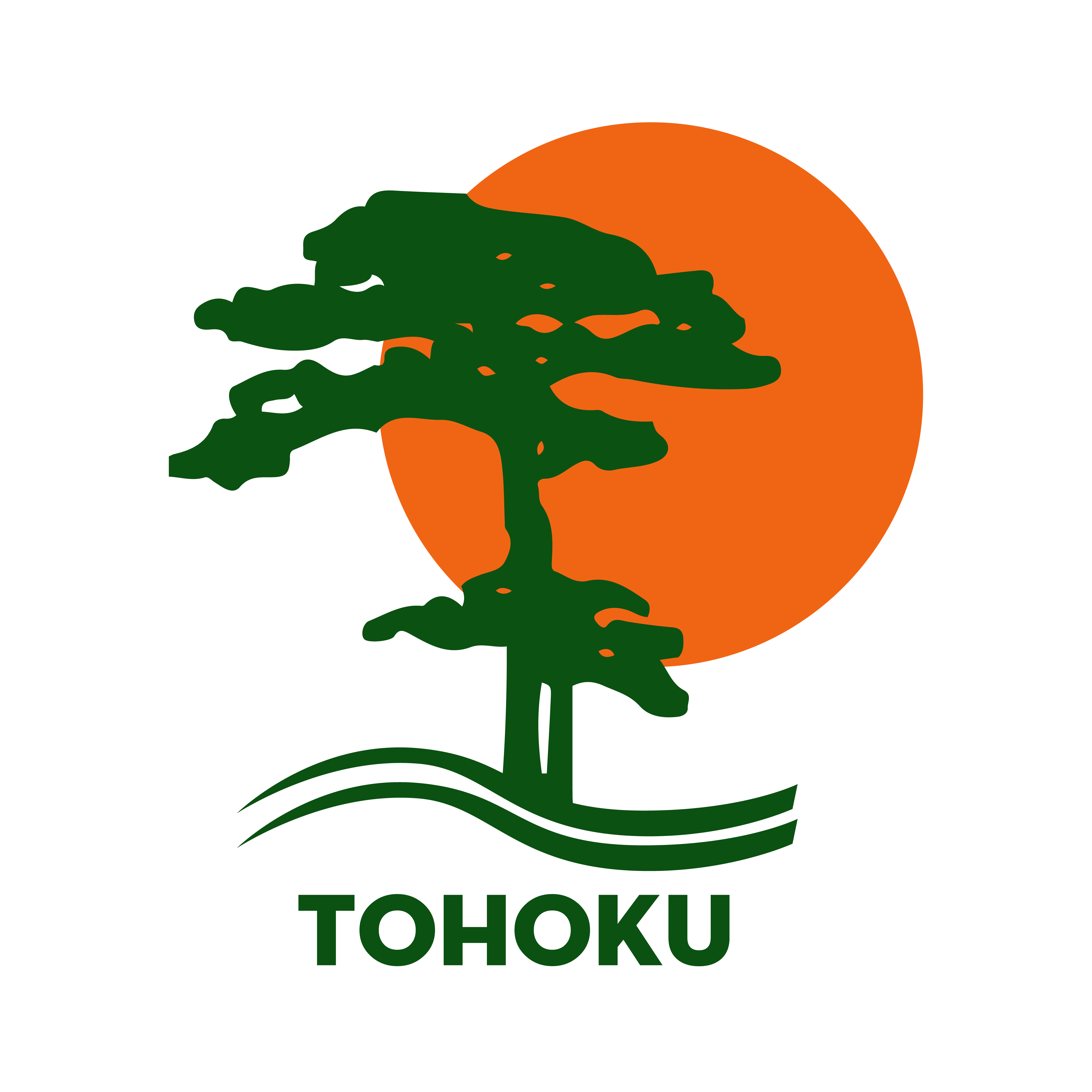 eng-tohoku